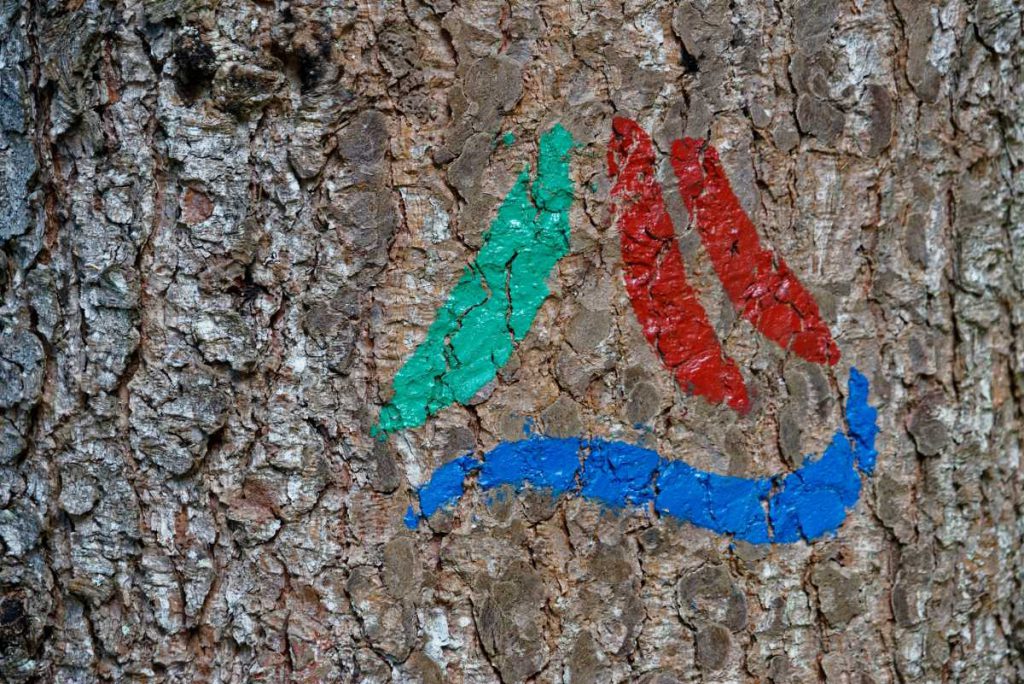 Am Baum ein Erkennungszeichen für Wanderer, dass klarrmacht: das hier ist die Via Alpina