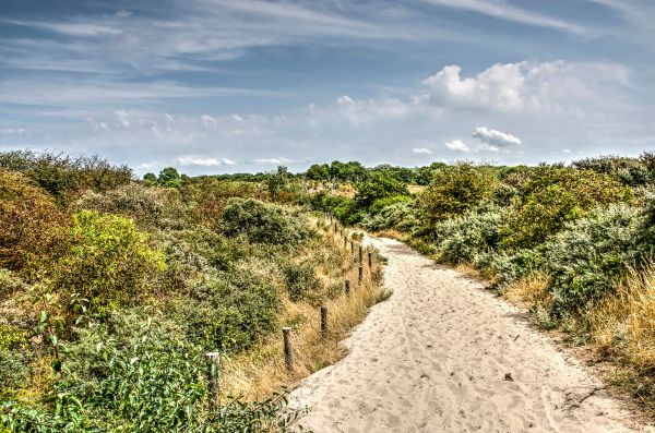 Liebe Dünenwege mit viel Grün in Rockanje 