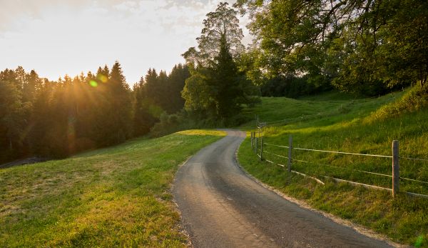 Weg für Mountain Bikes perfekt im Allgäu Straße ins Allgäu