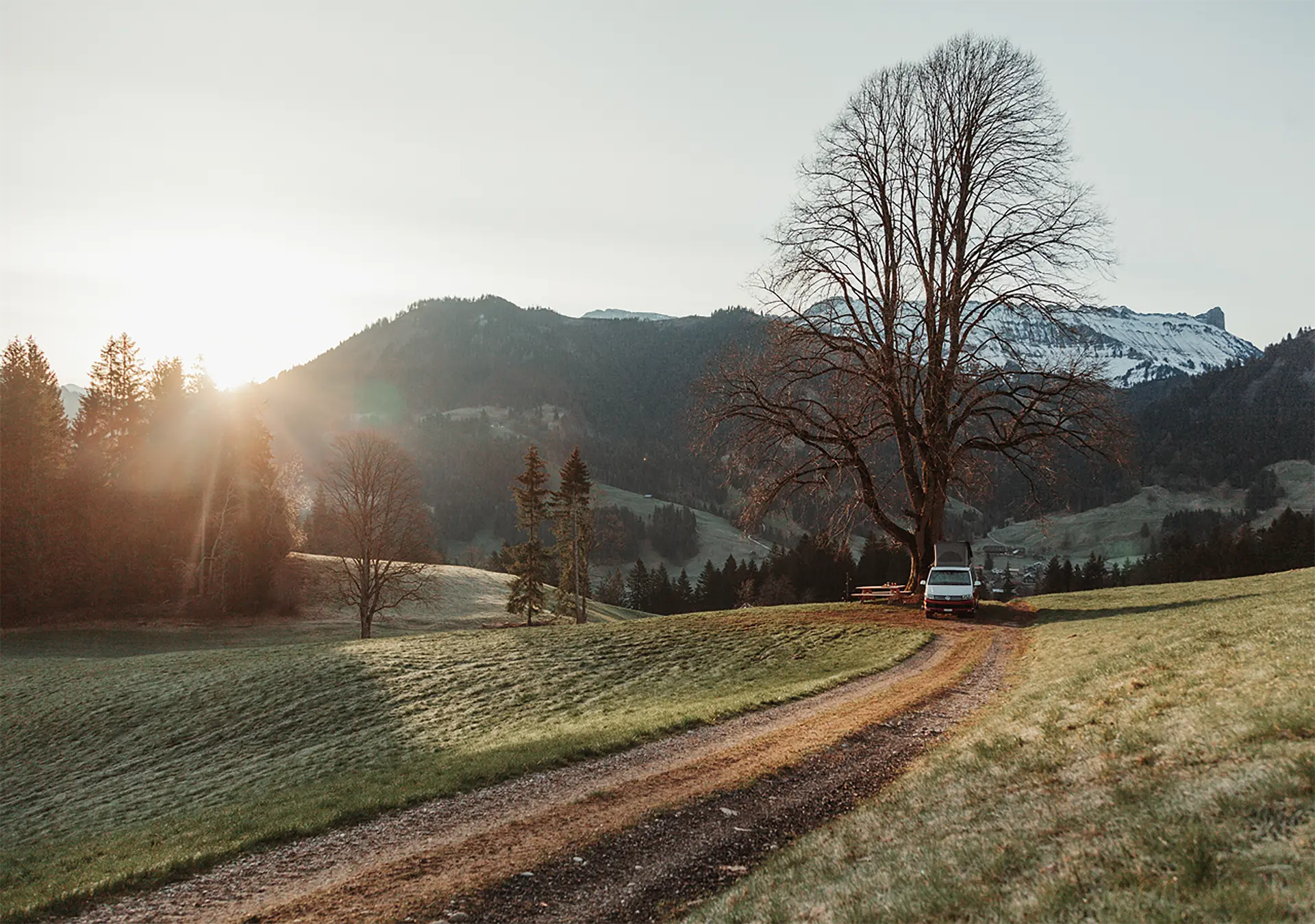 a camper van in nature under trees