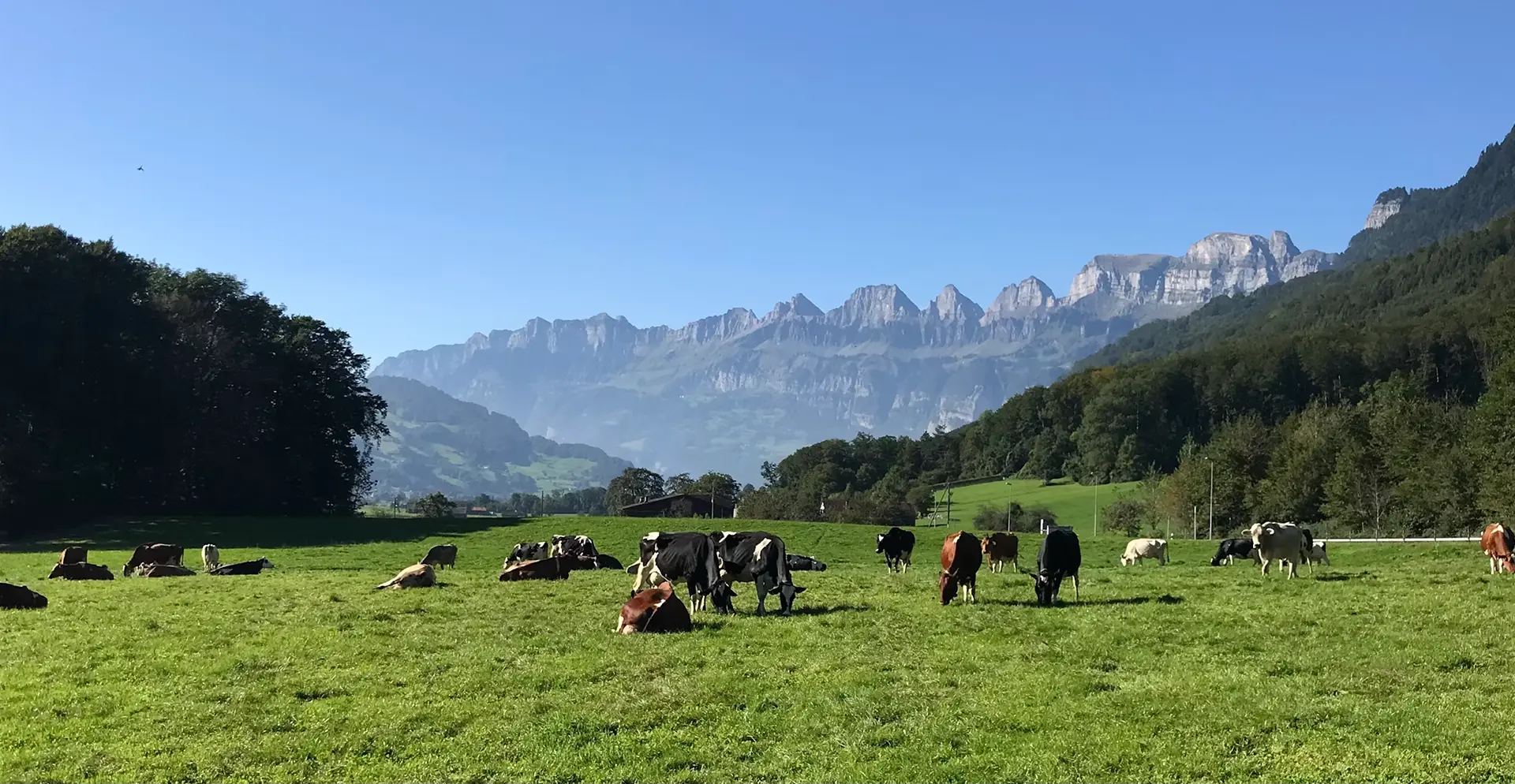 swiss meadows and mountains with a camper van in the middle