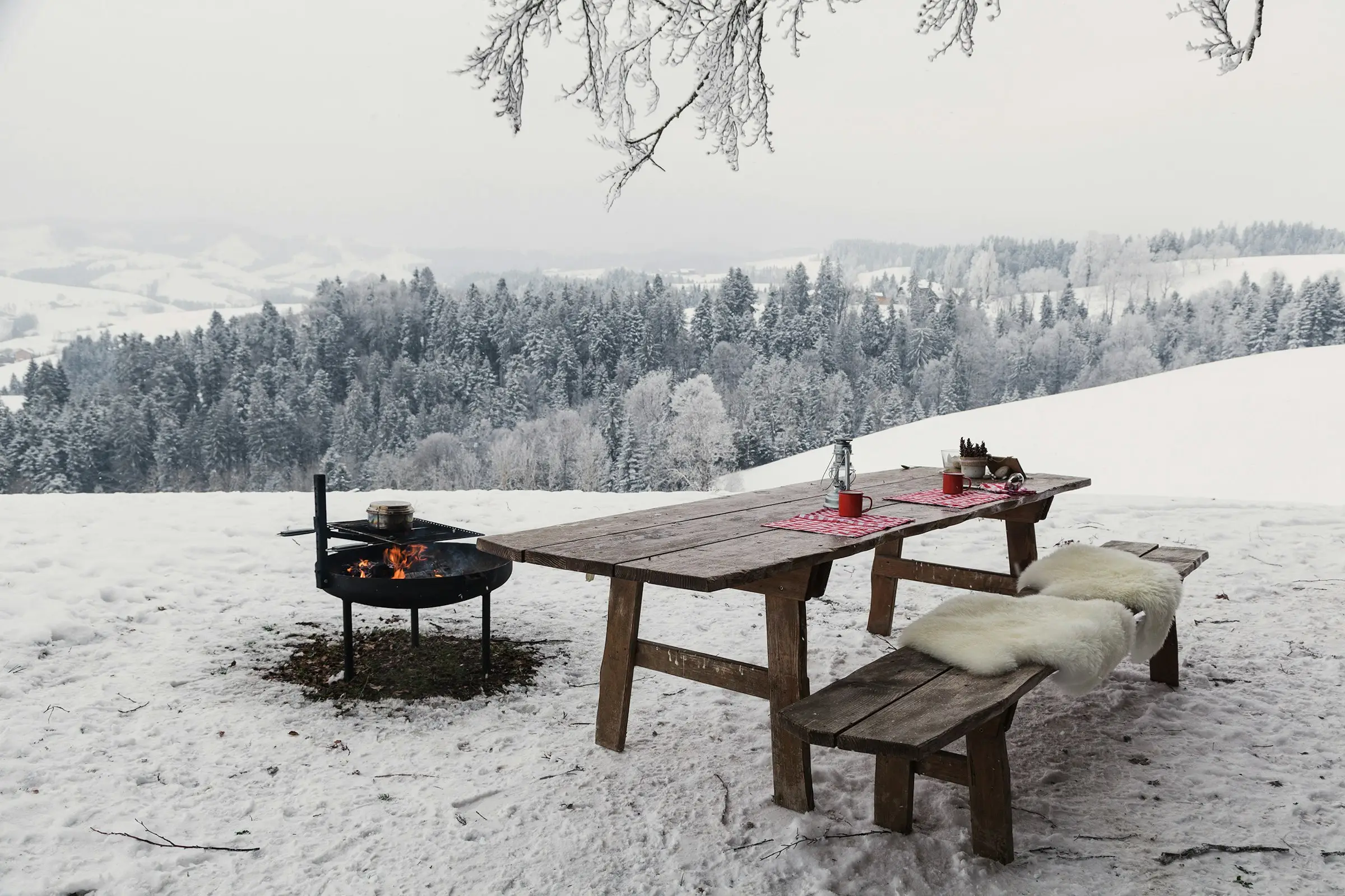 Gemütliches Nomady Tannen-Camp im Schnee mit Tannenbäumen und Naturidylle