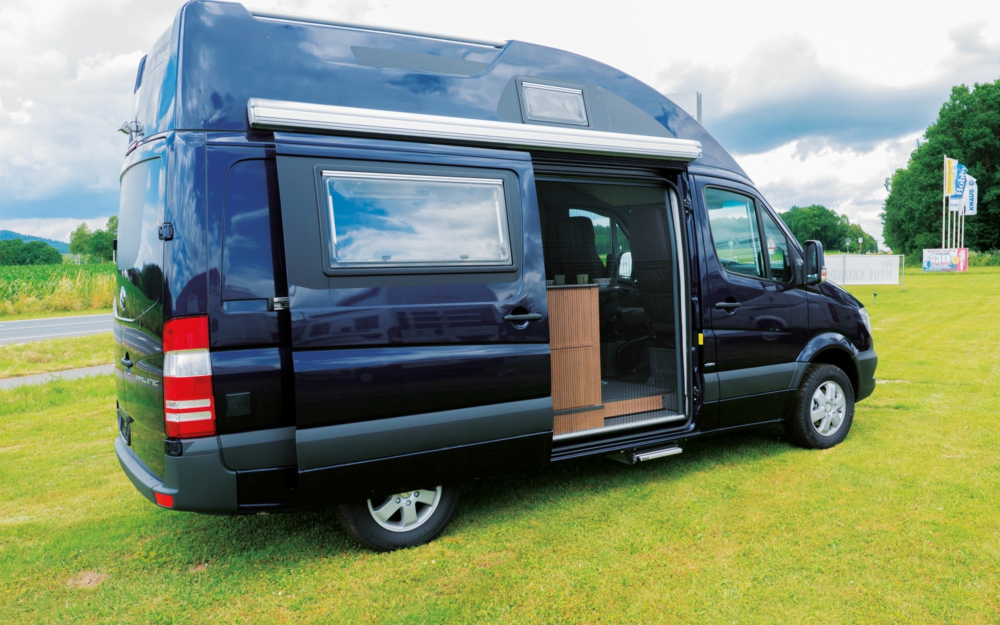 Remis REMIcare Tür-Insektenschutz Mercedes Sprinter / VW Crafter Bj. 2006-2016