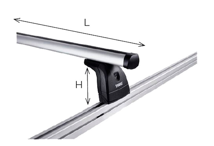 Thule ProBar Flex Dachträger für Transporter