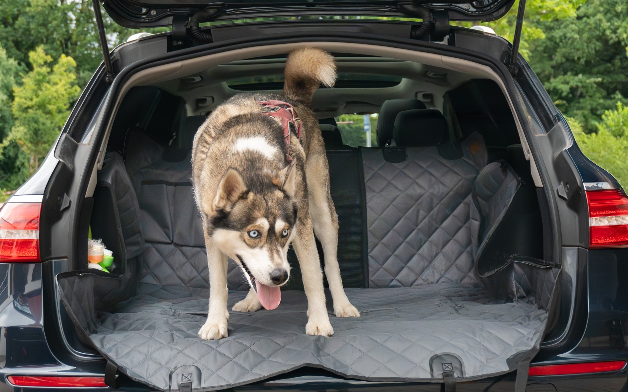 Berger DriveDry praktische Auto-Reisedecke für Hunde als Schutz