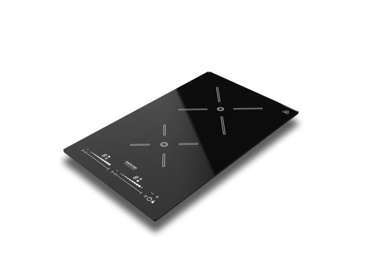 Induktionskocher mit 2 Platten, 230V, schwarz