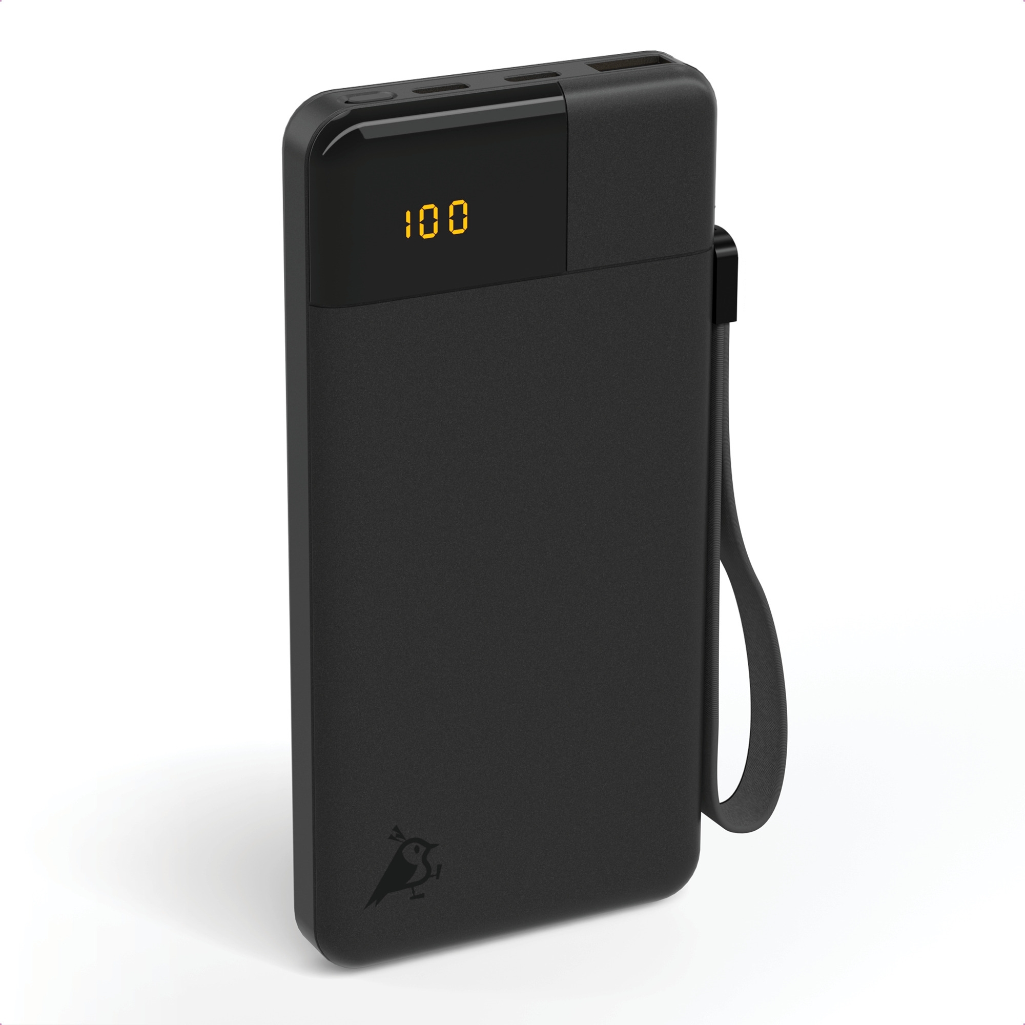 Aqiila Powerbird Powerbank 20 W 10000 mAh schwarz