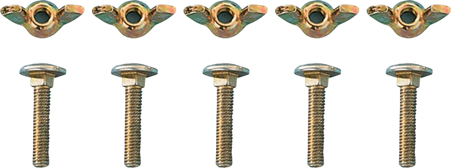 Berger Flachrundschraube mit Mutter M 6 x 20, 5er-Pack